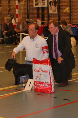 11-11-2012 KC Gorinchem 1U/BOB/1BIG/5BIS