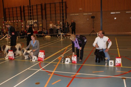 11-11-2012 KC Gorinchem 1U/BOB/1BIG/5BIS