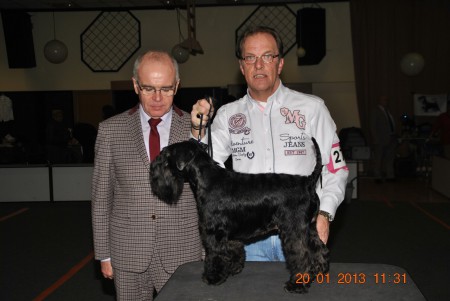 Mr.P.Król (P) Wizzy and me