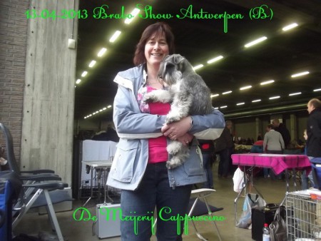 13-04-2013 Braboshow Antwerpen