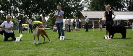 13-07-2013 Clubmatch KC Culemborg BOB,1BIG,5 BIS