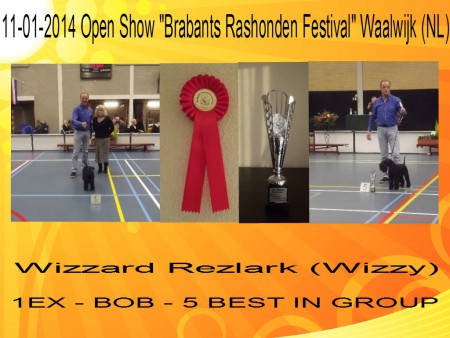11-01-2014 Openshow KV Waalwijk 1U - BOB - 5 Best in Group