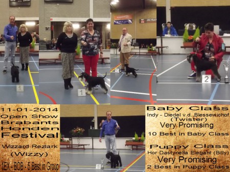 11-01-2014 Openshow KV Waalwijk 1U - BOB - 5 Best in Group