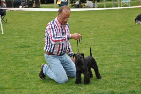 27-04-2014 KC Hoeksche Waard 1U-BOB