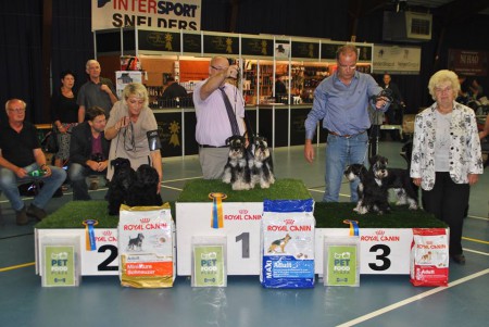 14-09-2014 Kampioens clubmatch Ned.schnauzer club,Ollie & Mollie 5,5 maand 3e in de koppelklasse 