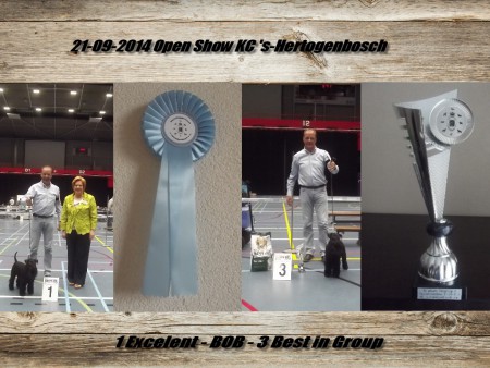 21-09-2014 KC 's-Hertogenbosch 1U - BOB - 3e Best in Group