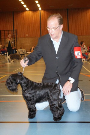 16-11-2014 KC Gorinchem 1EX - BOB - 2 BIG