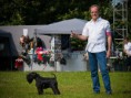 /album/fotogallerij/a7806771238-b81a8e5ef7-z-jpg/