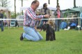 /album/fotogallerij/a10322449-548025928651967-8529738174015679832-n-jpg/