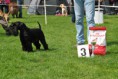 /album/fotogallerij/dsc-0093-jpg/