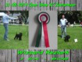 /album/fotogallerij/collage-2014-09-01-jpg/